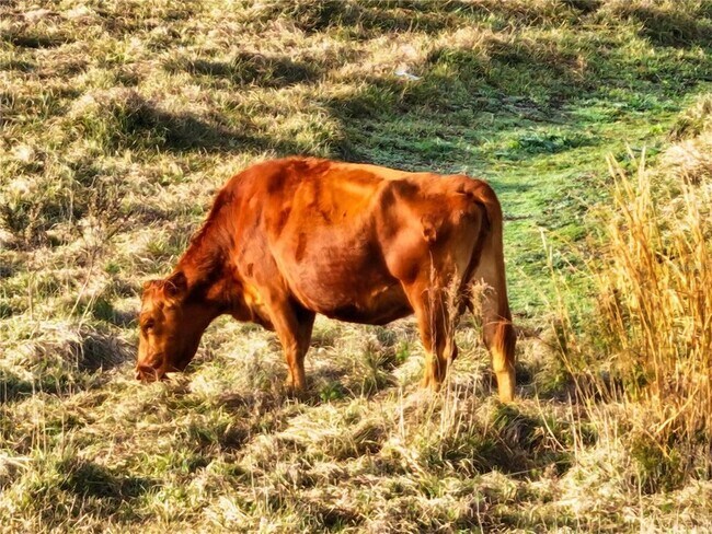 Building Photo - 8765 Daybreak St