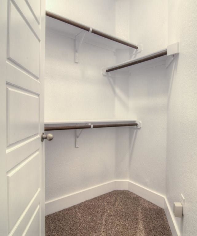 Building Photo - 7411 Pantherpaw St
