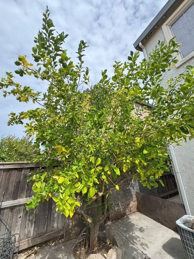 Building Photo - 645 Rockspray Cir