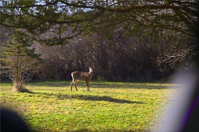 Building Photo - 46 Simmons Rd