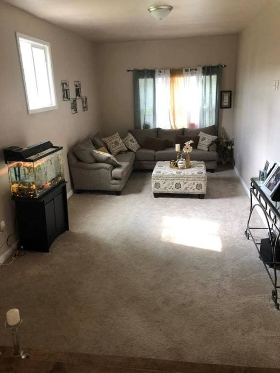 Building Photo - 589 Shelbourne Rd