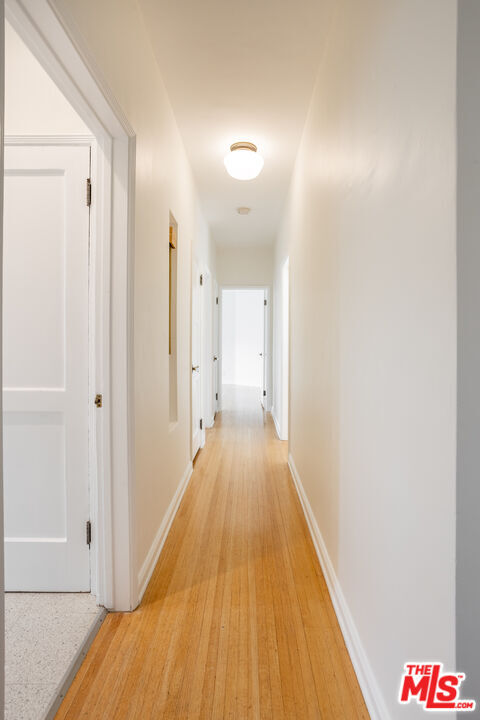 Building Photo - 442 S Maple Dr