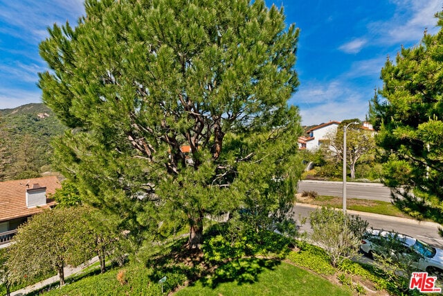 Building Photo - 1650 Palisades Dr