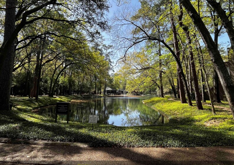Lake - 107 Litchfield Ln