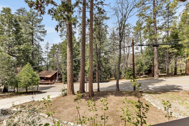 Building Photo - Mountain Lodge Home 1 Mile Away from the C...
