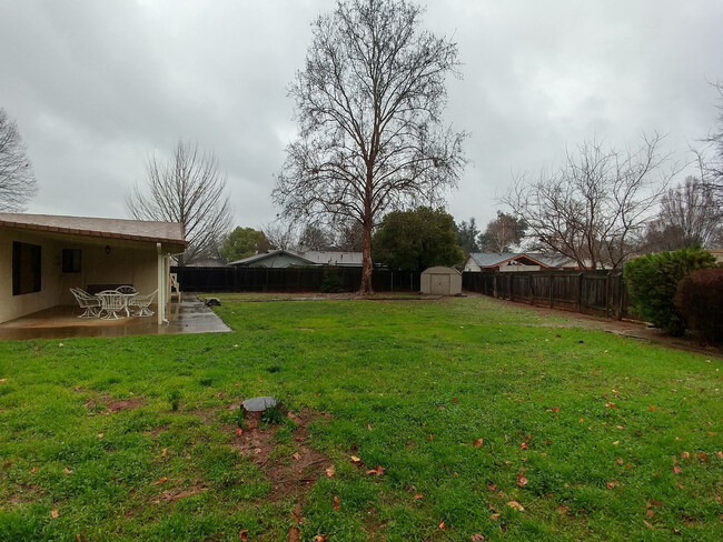 Building Photo - Spacious Home Near Mistletoe Elementary Sc...