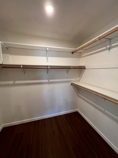 Building Photo - 4486 Barberry Ct