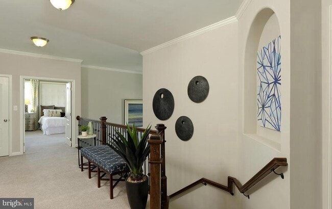 Building Photo - 141 Coachman Cir