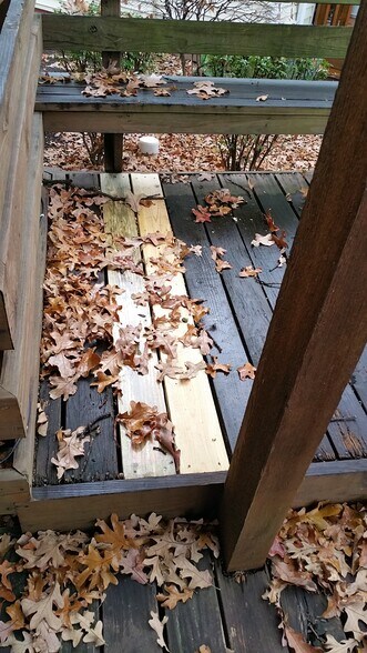 Deck - 1441 Bluebird Terrace
