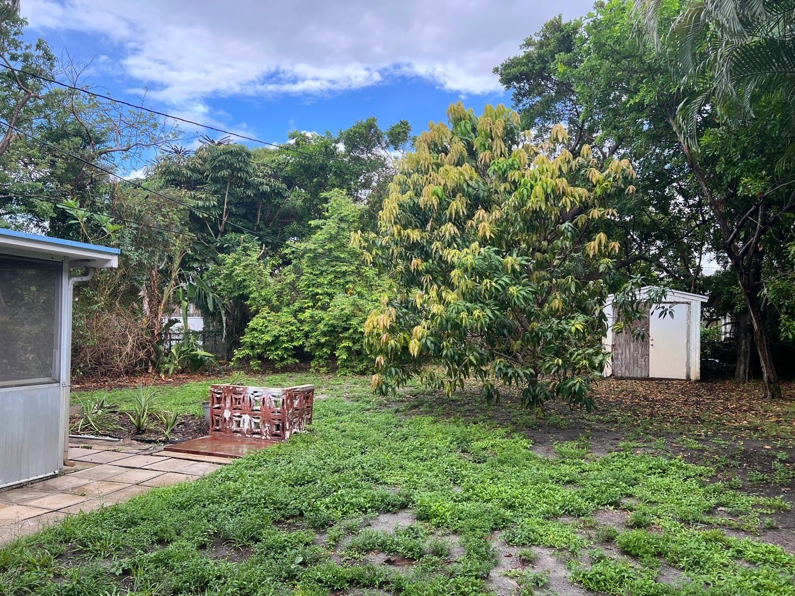 Back Yard - 1809 NE 2nd St