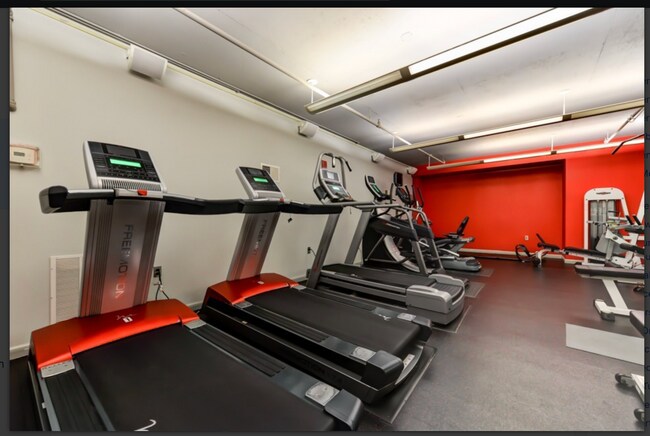 Building Photo - Newly Renovated Industrial Loft in Logan Circle!