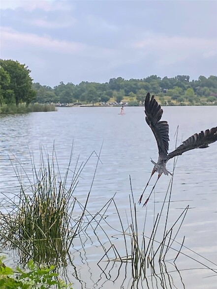 Building Photo - 8106 San Benito Way