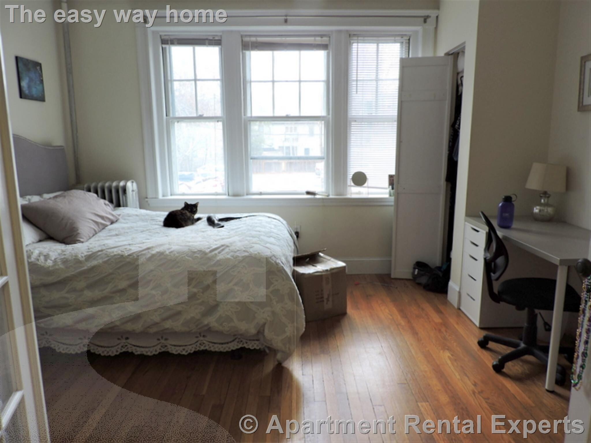 Building Photo - 11 Ellery St