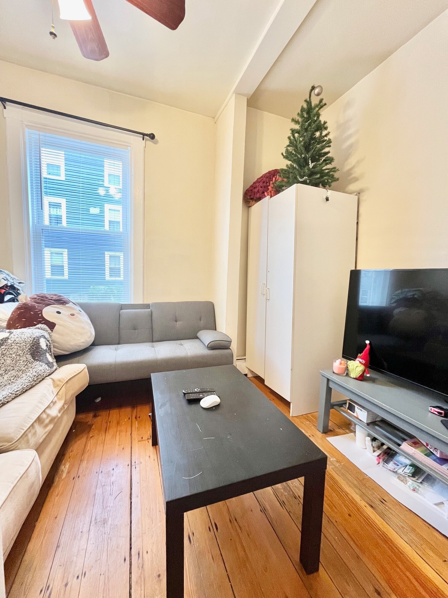 Building Photo - 19 Sachem St