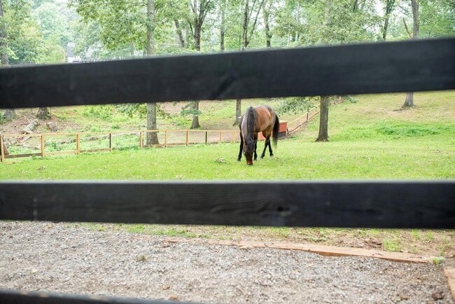 Building Photo - 728 S McCollum Dr