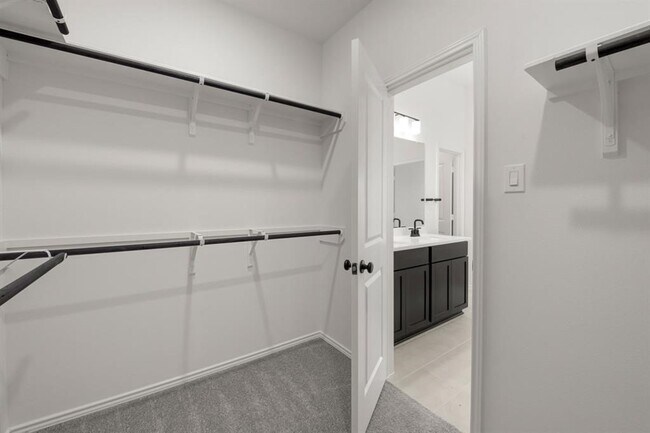 Building Photo - 10739 Blossom River Dr