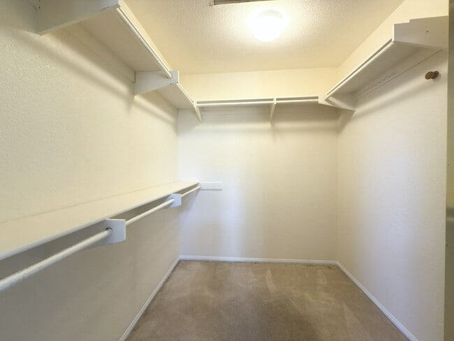 Building Photo - Spacious Home in Santa Fe Hills