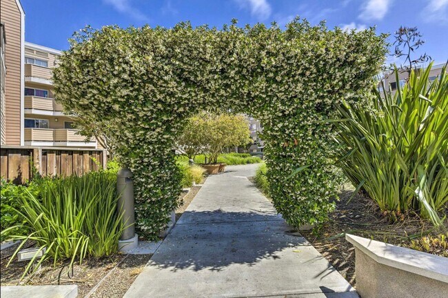 Building Photo - COMING SOON!!! BEAUTIFUL 1BD/1BA CONDO IN EMERYVILLE CA