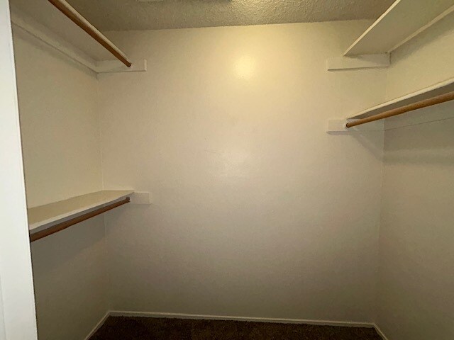 Building Photo - 3913 Grass Valley Pl