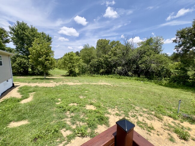 Exterior Backyard - 1143 Spurlock Dr