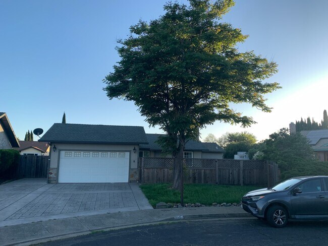 Building Photo - 911 Shelduck Ct