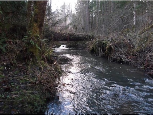 Building Photo - Country Living At Its Finest! Beautiful 3BD/2BA Home~Privacy, Storage, and Beautiful Scenery!