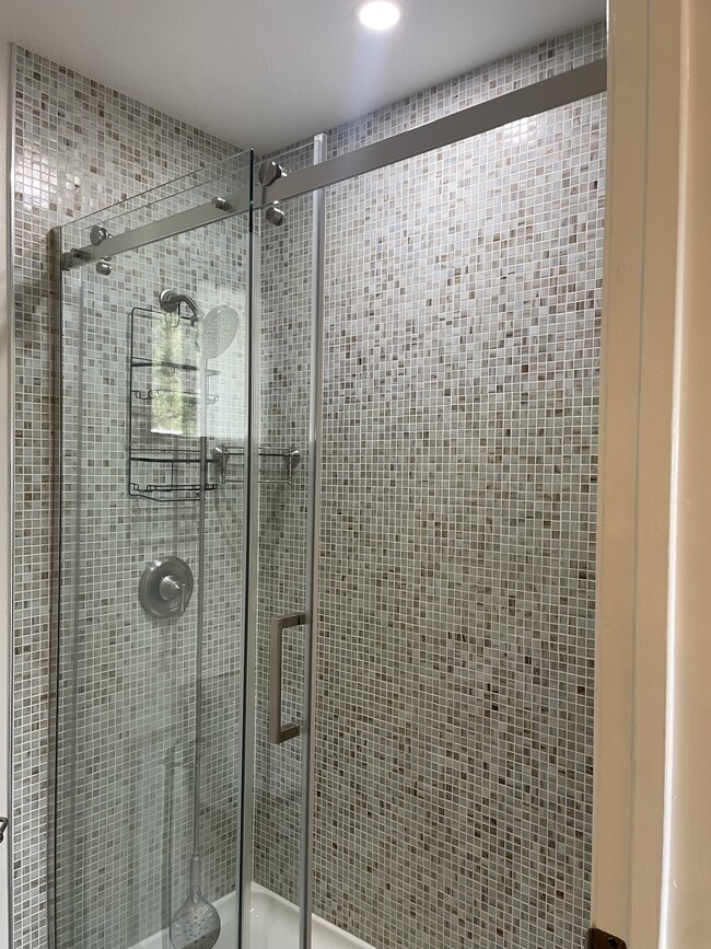 Modern shower - 685 Dartmore Ln