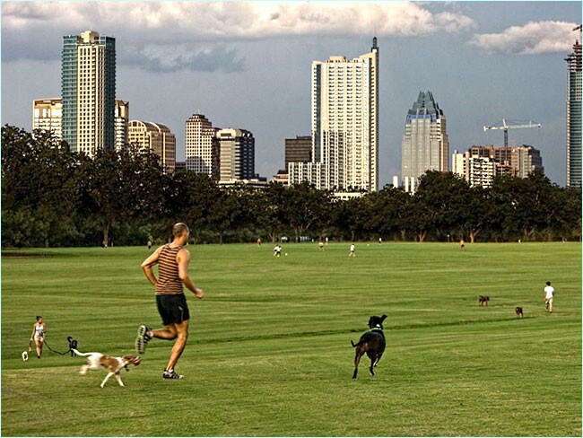 walk to zilker park! - 1818 Dywer Ave