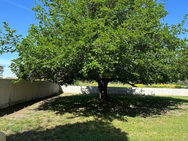 Building Photo - For Rent: Charming 2 Bedroom, 1 Bath Home ...