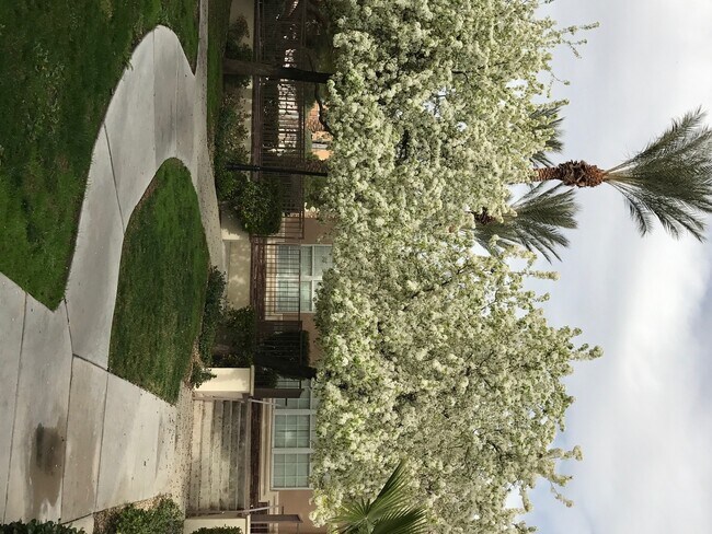 Building Photo - 3639 Water Song Dr