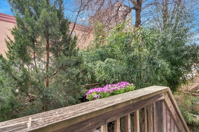 Building Photo - 520 Manila Ave