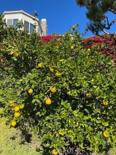 Building Photo - 401 Puddingstone Dr