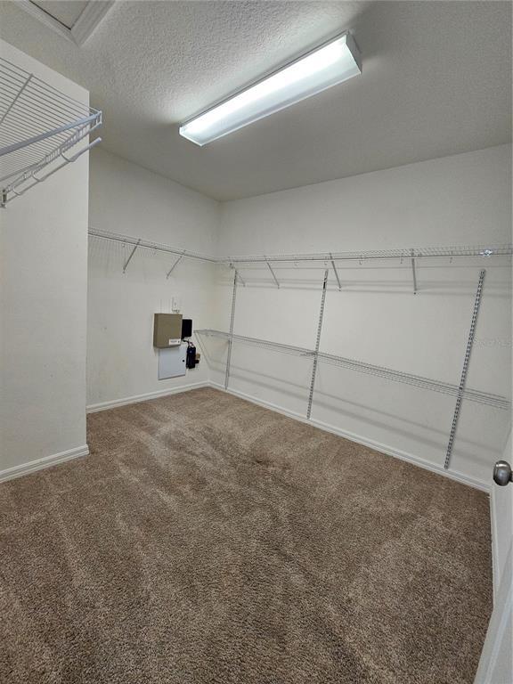 Building Photo - 7127 Nightshade Dr