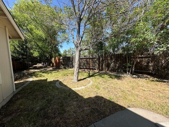 Building Photo - 1170 Forest Knoll Ct