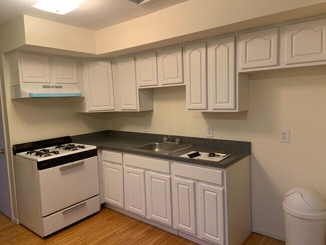 Close up Kitchen - 70 Mark St