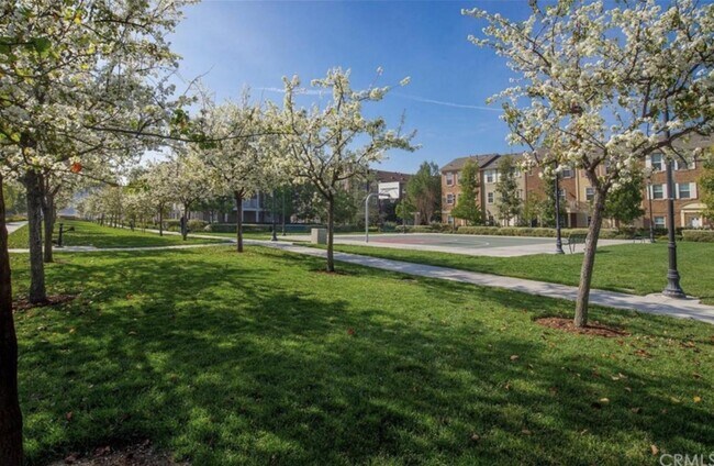 Basketball Courts - 15213 Linden Way