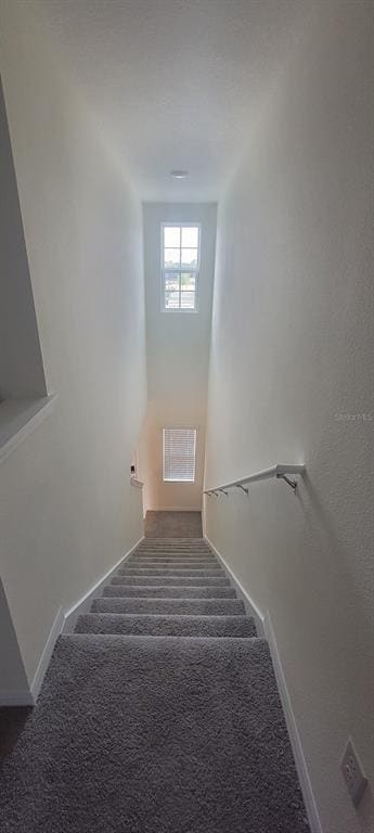 Building Photo - 2927 Brie Hammock Bnd