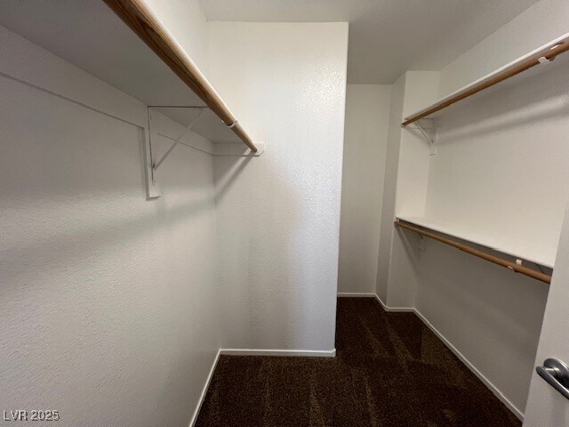 Building Photo - 5908 Grechetto Ct