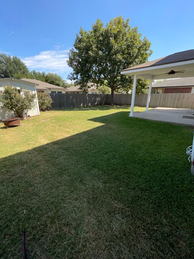Backyard - 3809 Willie Mays Ln