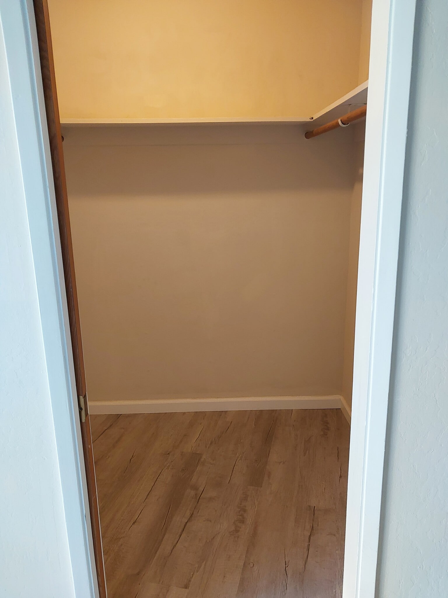 walk in closet - 436 Vasquez Ct