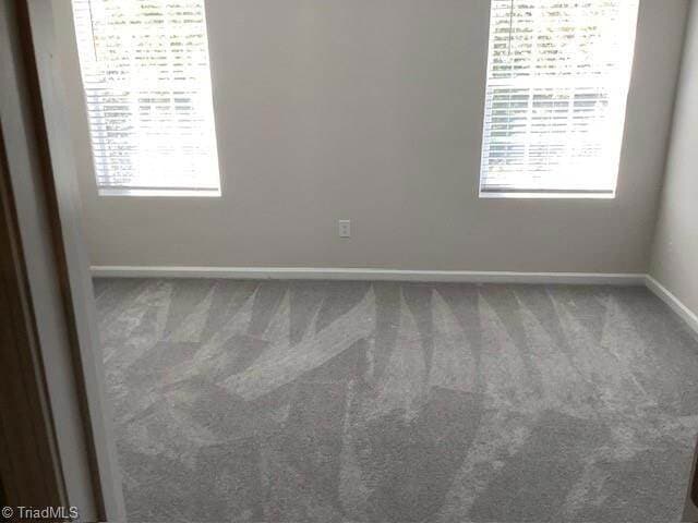 Building Photo - 136 Plumtree Ct