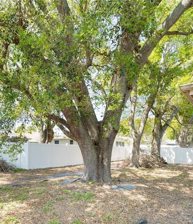 Building Photo - 3219 Spanish Moss Ln