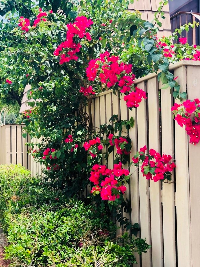 Building Photo - 1120 11th Ct