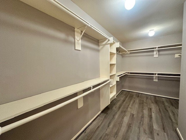 Building Photo - 9611 Territory Ln