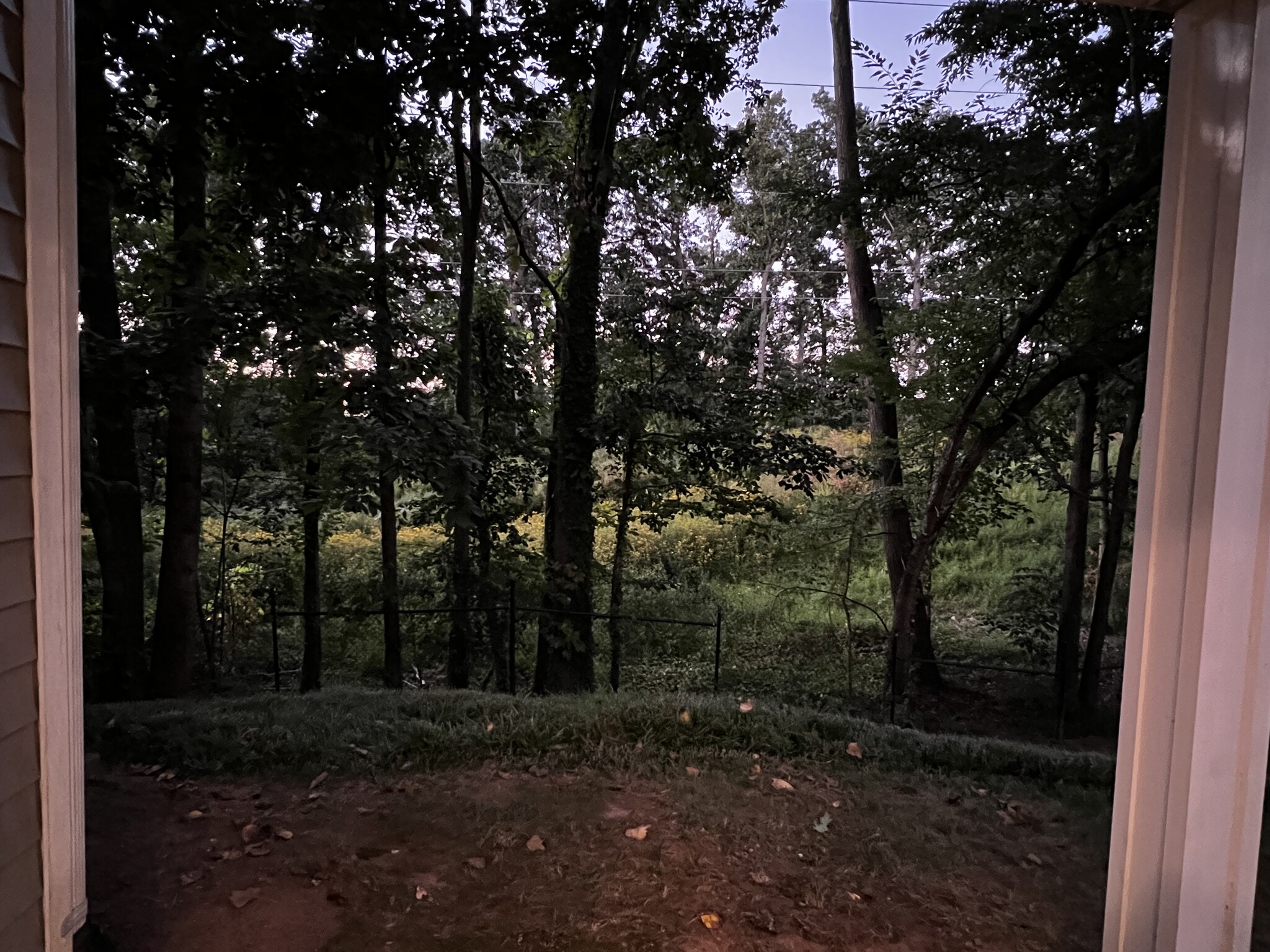 View From Porch - 12794 Fair Briar Ln