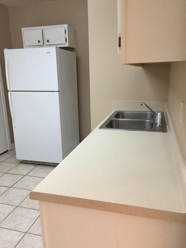 Kitchen has refrigerator, ice maker, stove, dishwasher, and microwave. - 122 Free Will Ln