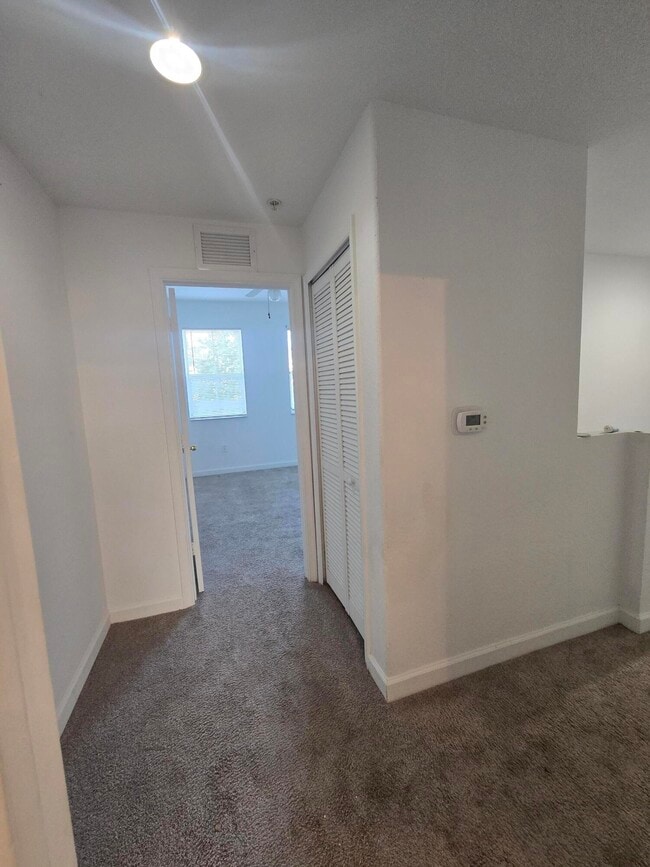 Building Photo - 3517 Shoma Ln