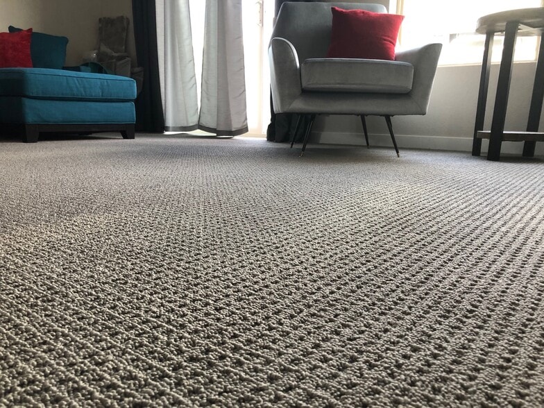 LR Carpet New - 6236 John Muir Trl