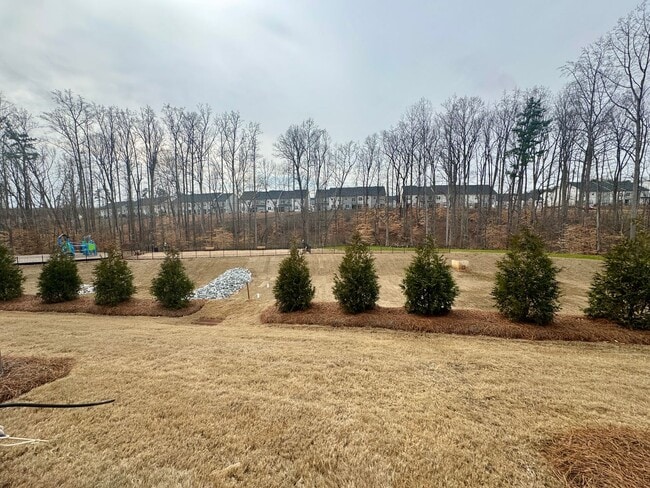 Building Photo - NEW CONSTRUCTION;3BR/2BA Townhome in Griffith Lakes