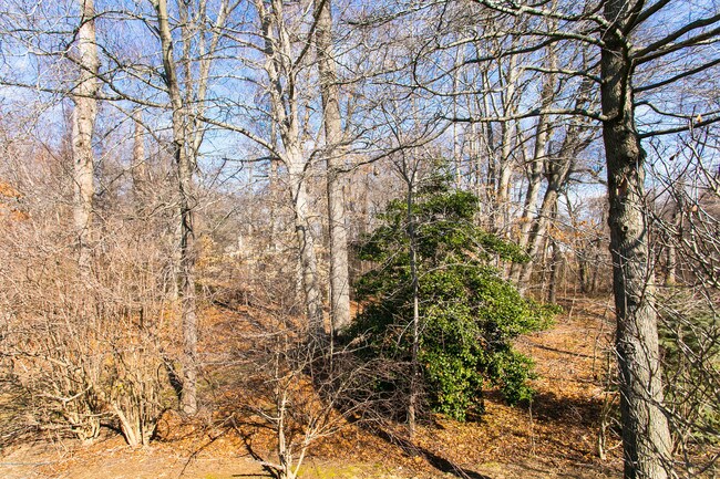 Building Photo - 230 Whispering Woods Ct